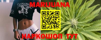 шишки Шелехов
