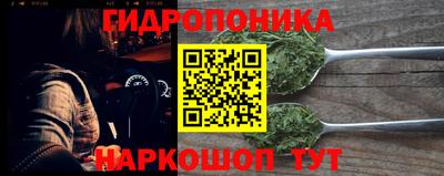 шишки Шелехов