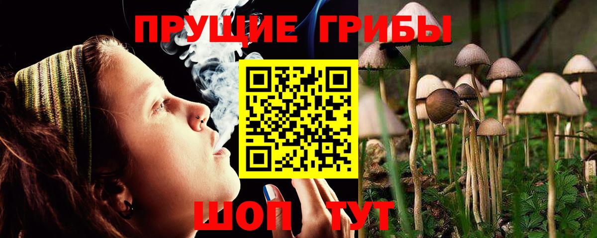 Галлюциногенные грибы мицелий Красноперекопск